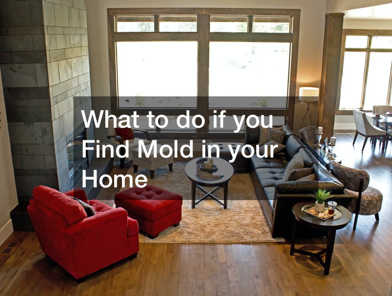 What to do if you Find Mold in your Home