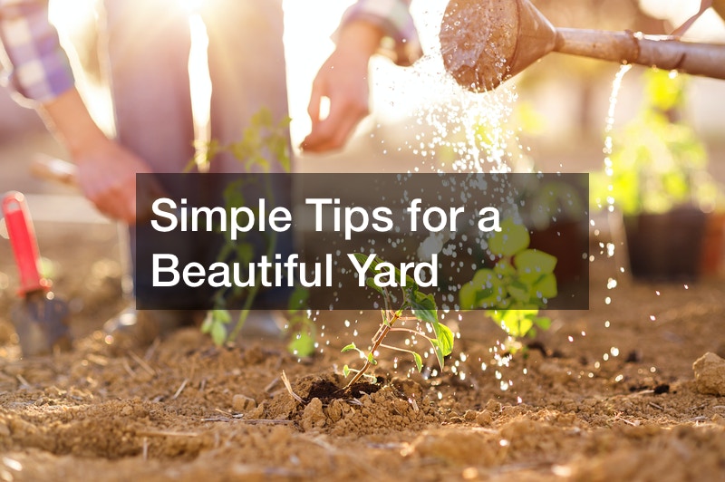 Simple Tips for a Beautiful Yard