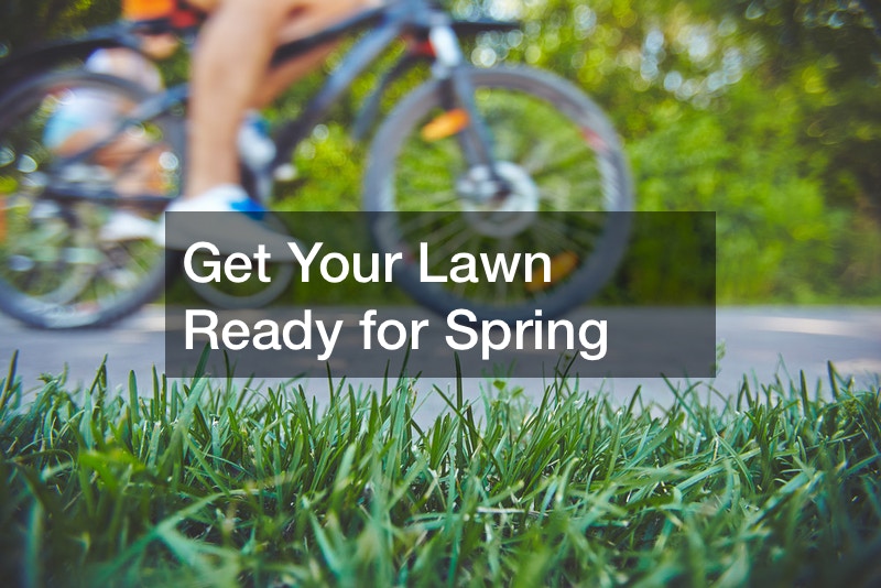 Get Your Lawn Ready for Spring