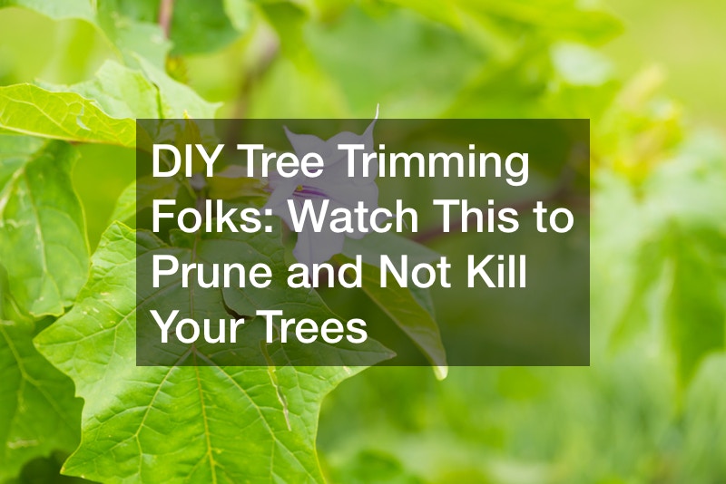 DIY Tree Trimming Folks  Watch This to Prune and Not Kill Your Trees