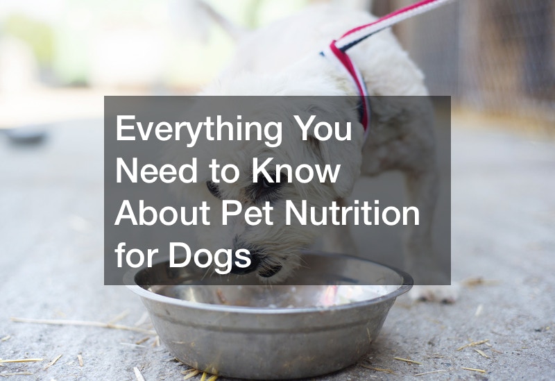 Everything You Need to Know About Pet Nutrition for Dogs