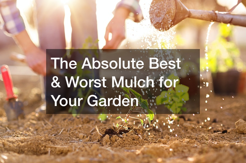 The Absolute Best and Worst Mulch for Your Garden