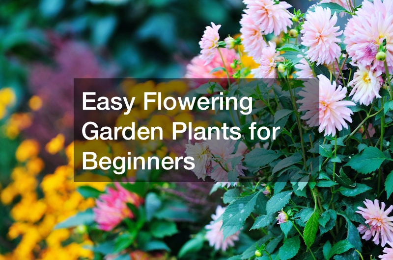 Easy Flowering Garden Plants for Beginners